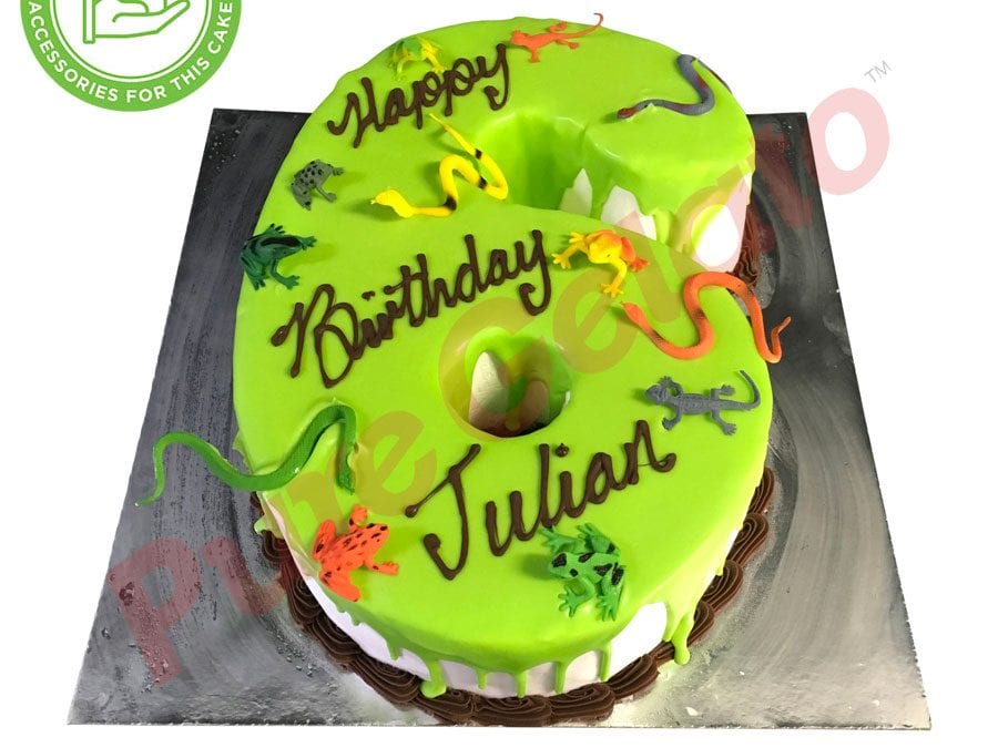 Numeral Cake 6 lime green Choc Drip Choc piping+customers accessories