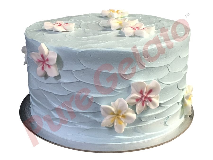 Spatula-Cream-Finish-Double-Stack-Baby-Blue+Frangipanis_